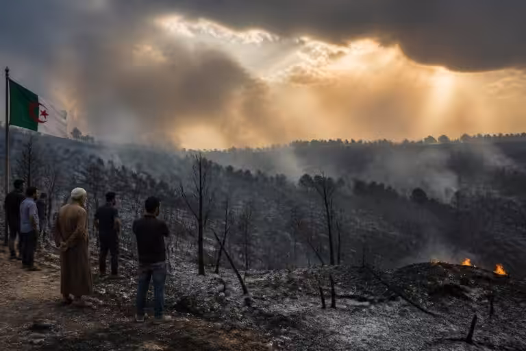 découvrez comment les récents feux dévastateurs en algérie provoquent une réflexion nationale approfondie sur la prévention et la gestion des catastrophes environnementales.